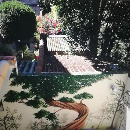 Suite Volupte Classee 3 Etoiles Avec Vue Sur Jardin, Climatisation Montpellier Exterior photo